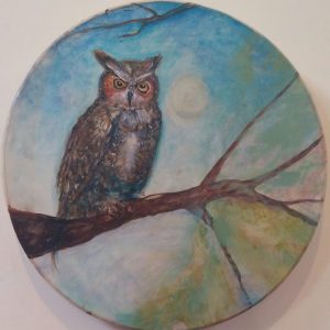 Wise Owl